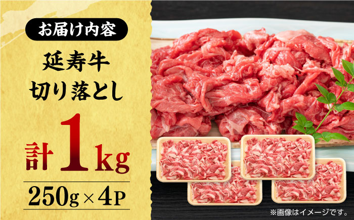 熊本県産 延寿牛 あか牛 切り落とし 約 250g×4P【有限会社 九州食肉産業】 [ZDQ083]