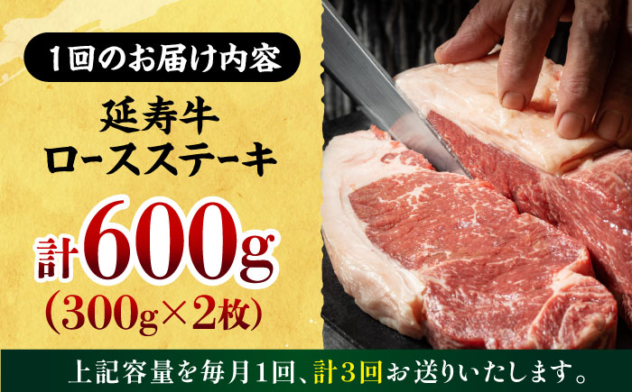 【3回定期便】熊本県産 延寿牛 あか牛 ロース ステーキ 約 300g×2枚【有限会社 九州食肉産業】 [ZDQ090]