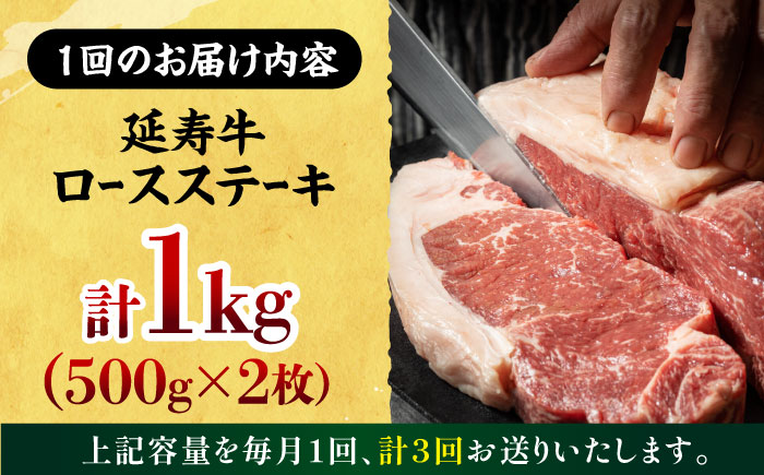 【3回定期便】熊本県産 延寿牛 あか牛 ロース ステーキ 約 500g×2枚【有限会社 九州食肉産業】 [ZDQ092]