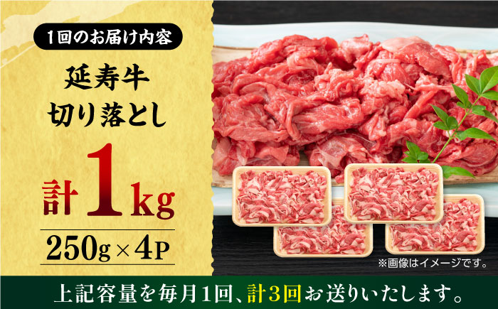 【3回定期便】熊本県産 延寿牛 あか牛 切り落とし 約 250g×4P【有限会社 九州食肉産業】 [ZDQ101]
