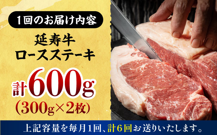 【6回定期便】熊本県産 延寿牛 あか牛 ロース ステーキ 約 300g×2枚【有限会社 九州食肉産業】 [ZDQ108]