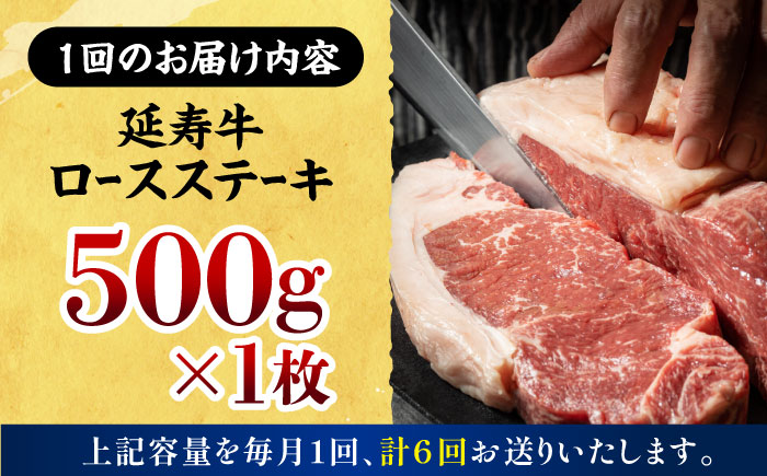 【6回定期便】熊本県産 延寿牛 あか牛 ロース ステーキ 約 500g【有限会社 九州食肉産業】 [ZDQ109]