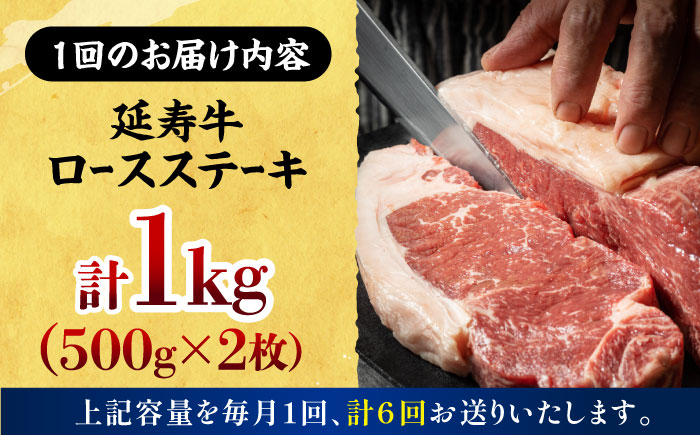 【6回定期便】熊本県産 延寿牛 あか牛 ロース ステーキ 約 500g×2枚【有限会社 九州食肉産業】 [ZDQ110]