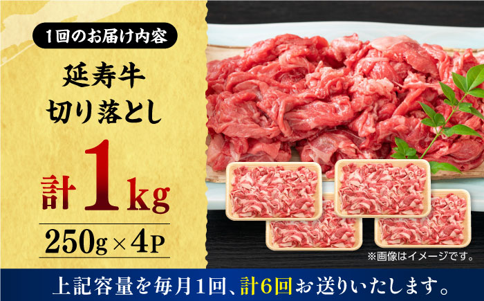 【6回定期便】熊本県産 延寿牛 あか牛 切り落とし 約 250g×4P【有限会社 九州食肉産業】 [ZDQ119]