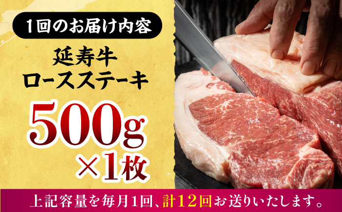 【12回定期便】熊本県産 延寿牛 あか牛 ロース ステーキ 約 500g【有限会社 九州食肉産業】 [ZDQ127]