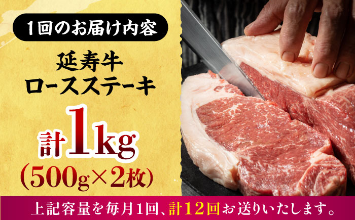 【12回定期便】熊本県産 延寿牛 あか牛 ロース ステーキ 約 500g×2枚【有限会社 九州食肉産業】 [ZDQ128]