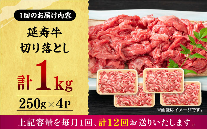 【12回定期便】熊本県産 延寿牛 あか牛 切り落とし 約 250g×4P【有限会社 九州食肉産業】 [ZDQ137]