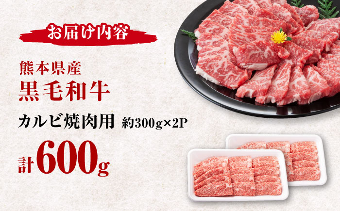 熊本県産 黒毛和牛 カルビ 焼肉用 約600g(約300g×2pc)【有限会社 九州食肉産業】 [ZDQ153]