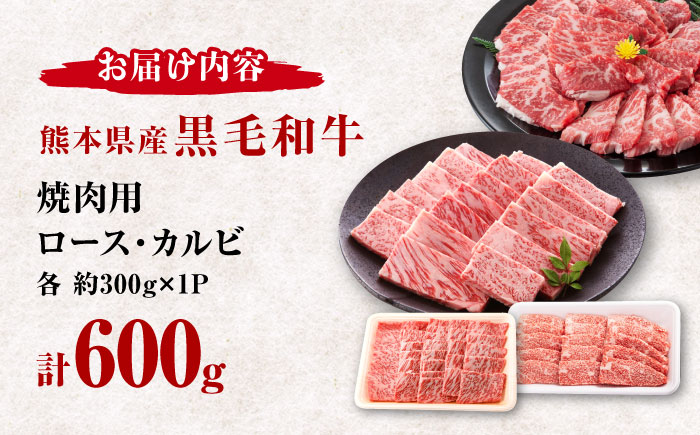 熊本県産 黒毛和牛 ロース・カルビ焼肉用 食べ比べ 約600g(各約300g)【有限会社 九州食肉産業】 [ZDQ155]