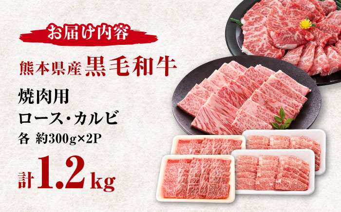 熊本県産 黒毛和牛 ロース・カルビ焼肉用 食べ比べ 約1.2kg(各約300g×2pc)【有限会社 九州食肉産業】 [ZDQ156]