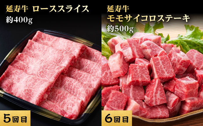 【6回定期便】熊本県産 あか牛『延寿牛』 食べ比べ【有限会社 九州食肉産業】 [ZDQ169]