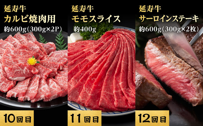 【12回定期便】熊本県産 あか牛『延寿牛』 贅沢食べ比べ【有限会社 九州食肉産業】 [ZDQ170]