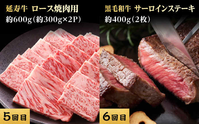 【6回定期便】熊本県産 黒毛和牛 あか牛 馬刺 食べ比べ【有限会社 九州食肉産業】 [ZDQ172]