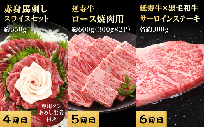 【12回定期便】熊本県産 黒毛和牛 あか牛 馬刺し 豪華食べ比べ【有限会社 九州食肉産業】 [ZDQ173]