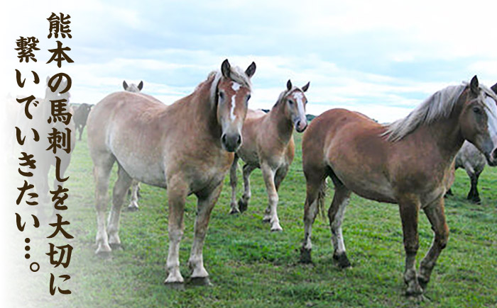 【3回定期便】ふじ馬刺し 霜降り 馬刺し 3種セット 3591 [ZDT044]