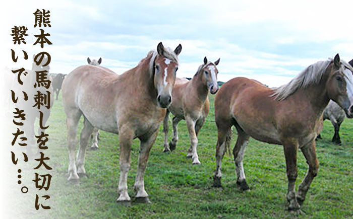 【6回定期便】まな板不要！切れてる 国産馬刺し 3P 3584 [ZDT074]