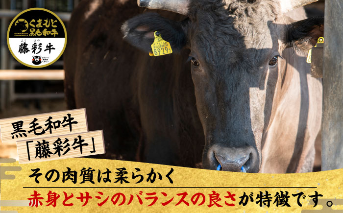【3回定期便】くまもと黒毛和牛「藤彩牛」2種の食べ比べ計500g 3900【有限会社 スイートサプライなかぞの】 [ZDT127]