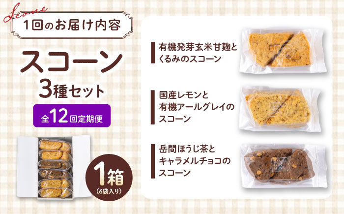 【全12回定期便】山鹿の恵み香り豊かなスコーンセット（3種類×2個）【BANBA BON BONS】 [ZDW008]
