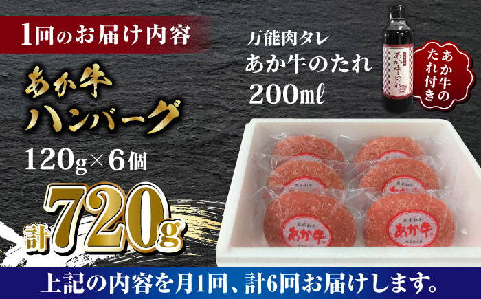 【全6回定期便】あか牛 100％ハンバーグ セット 120g×6個【有限会社 三協畜産】 国産 牛肉  ハンバーグ セット 定期  [ZEB066]