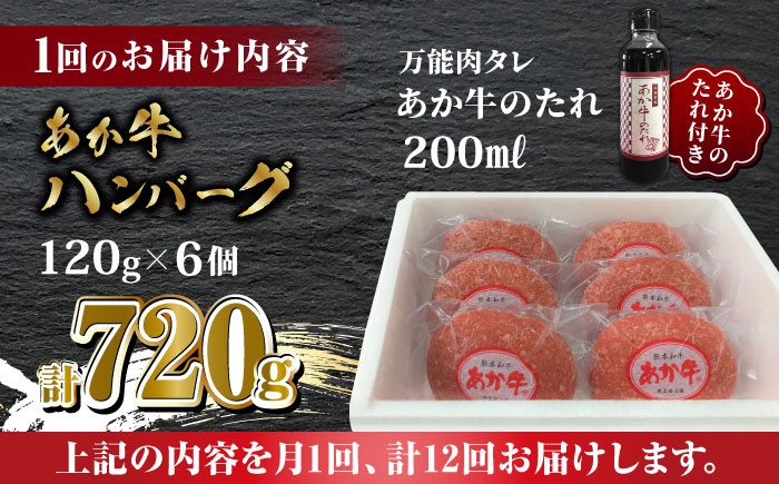 【全12回定期便】あか牛 100％ハンバーグ セット 120g×6個【有限会社 三協畜産】 九州産 国産 赤身 赤牛 褐牛 あかうし 褐毛和種  [ZEB083]
