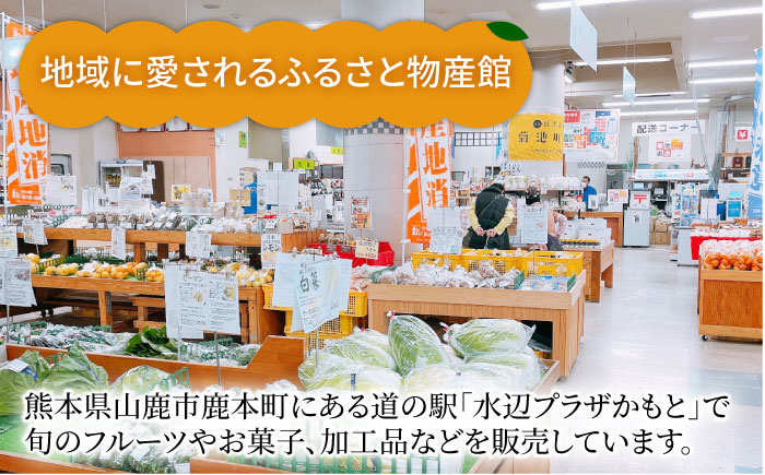 【先行予約】みかん 約5kg【道の駅 水辺プラザかもと】 [ZEG002]