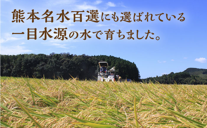【6回定期便】 にこまる 白米 計10kg（5kg×2袋）【竹下農園】 [ZEL009]