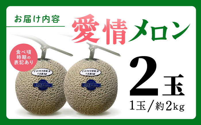 【先行予約】年内発送 愛情 メロン 2玉【とみおか農園】 [ZEM001]