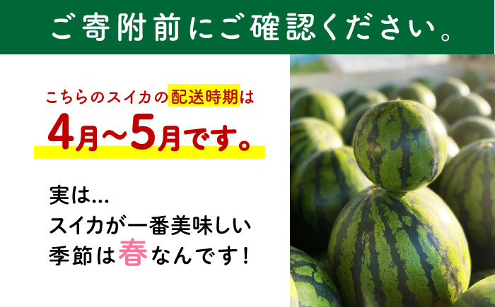 【先行予約】種ごと 食べられる 小玉スイカ 2玉 ピノガール【とみおか農園】 [ZEM003]