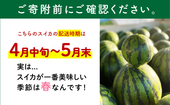 【先行予約】 大玉スイカ 約7kg以上（1玉） 【とみおか農園】 [ZEM004]