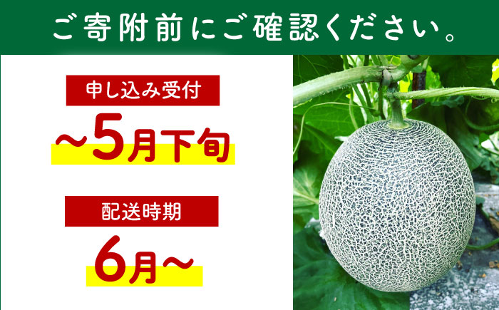 【先行予約】  肥後グリーン メロン 約4kg（2玉） 【とみおか農園】 [ZEM006]