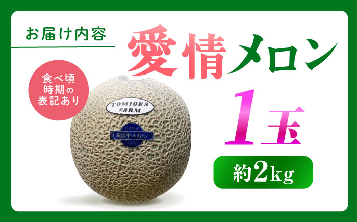 【先行予約】年内発送 愛情 メロン 1玉【とみおか農園】 [ZEM007]
