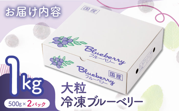 大粒 冷凍ブルーベリー 約1000g（約500g×2pc） 【すみれファーム】 [ZEP007]