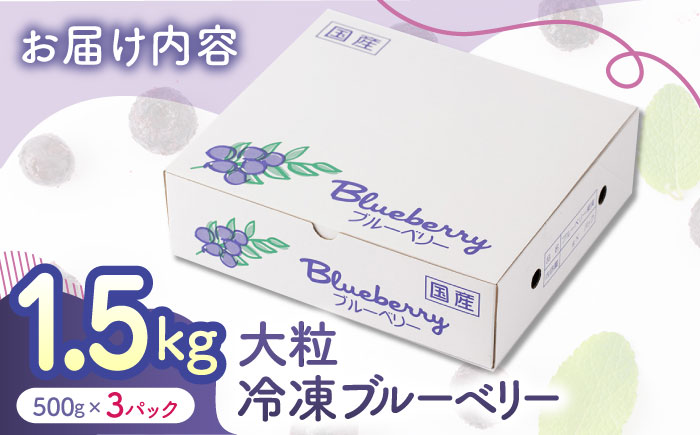 大粒 冷凍ブルーベリー 約1500g（約500g×3pc） 【すみれファーム】 [ZEP008]