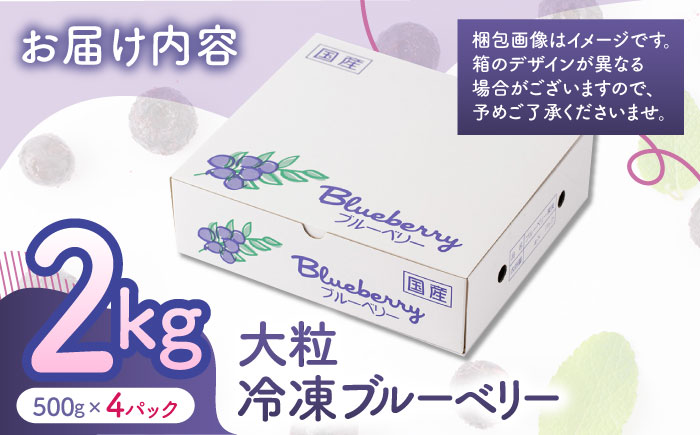 大粒 冷凍ブルーベリー 約2000g（約500g×4pc）【すみれファーム】 [ZEP009]