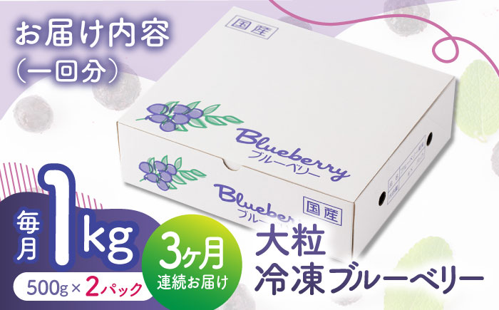 【3回定期便】大粒 冷凍ブルーベリー 約1000g（約500g×2pc）【すみれファーム】 [ZEP010]