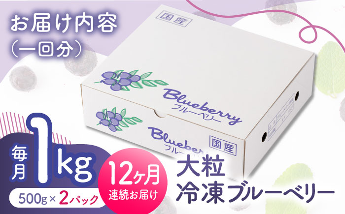 【12回定期便】大粒 冷凍ブルーベリー 約1000g（約500g×2pc） 【すみれファーム】 [ZEP012]