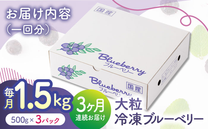 【3回定期便】大粒 冷凍ブルーベリー 約1500g（約500g×3pc）【すみれファーム】 [ZEP013]