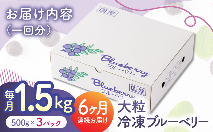 【6回定期便】大粒 冷凍ブルーベリー 約1500g（約500g×3pc） 【すみれファーム】 [ZEP014]