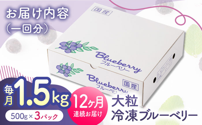 【12回定期便】大粒 冷凍ブルーベリー 約1500g（約500g×3pc） 【すみれファーム】 [ZEP015]