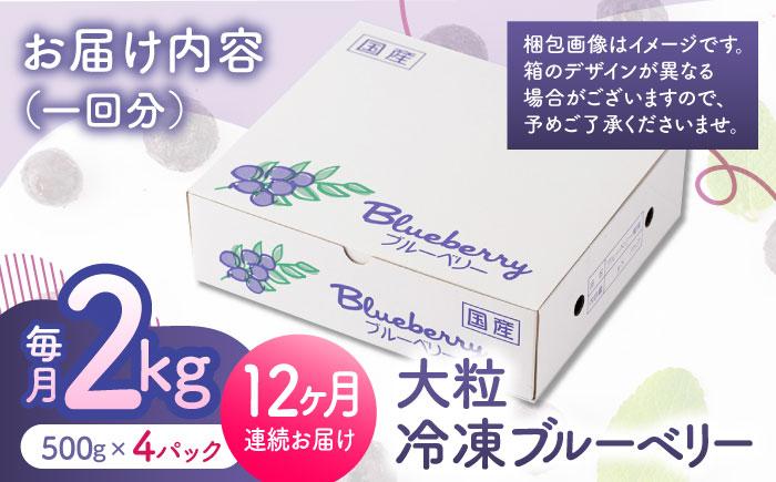 【12回定期便】大粒 冷凍ブルーベリー 約2000g（約500g×4pc） 【すみれファーム】 [ZEP018]