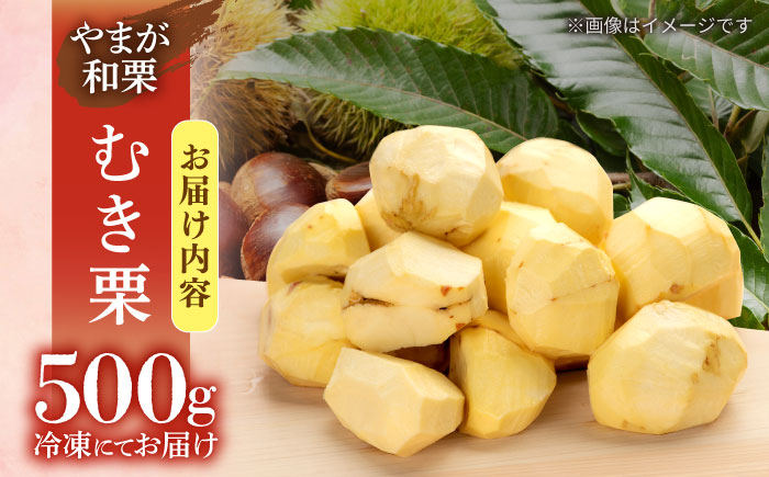 【先行予約】 むき栗 約500ｇ（約250g×2pc） 【すみれファーム】 [ZEP059]