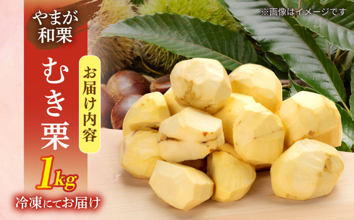 【先行予約】 むき栗 約1kg（約250g×4pc） 【すみれファーム】 [ZEP060]