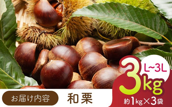 【先行予約】 和栗 約3kg（約1kg×3袋） L～3L 【すみれファーム】 [ZEP063]
