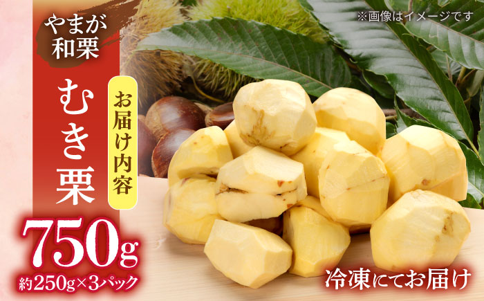 【先行予約】 むき栗 約750ｇ（約250g×3pc） 【すみれファーム】 [ZEP064]