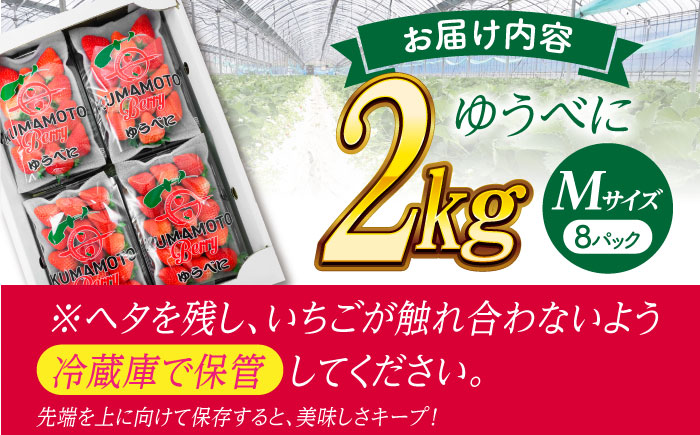 いちご Mサイズ ゆうべに 2kg（8pc）【熊本ベリー】いちご イチゴ 苺 ゆうべに 大粒いちご  [ZER008]