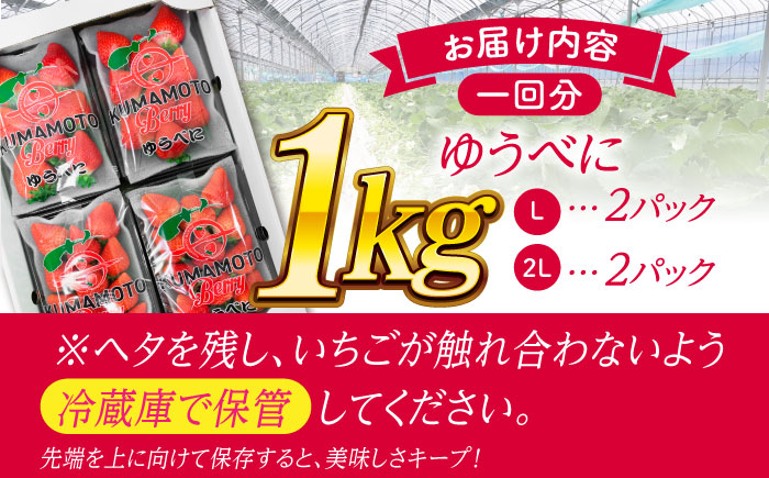 《3月より発送開始》 【3回定期便】 大粒いちご L～2L ゆうべに 1kg（4pc）【熊本ベリー】 [ZER025]
