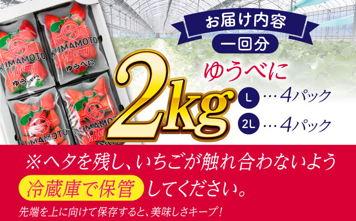 《3月より発送開始》 【3回定期便】 大粒いちご L～2L ゆうべに 2kg（8pc）【熊本ベリー】 [ZER026]