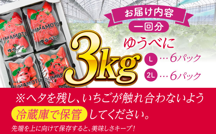 《3月より発送開始》 【3回定期便】 大粒いちご L～2L ゆうべに 3kg（12pc）【熊本ベリー】 [ZER027]