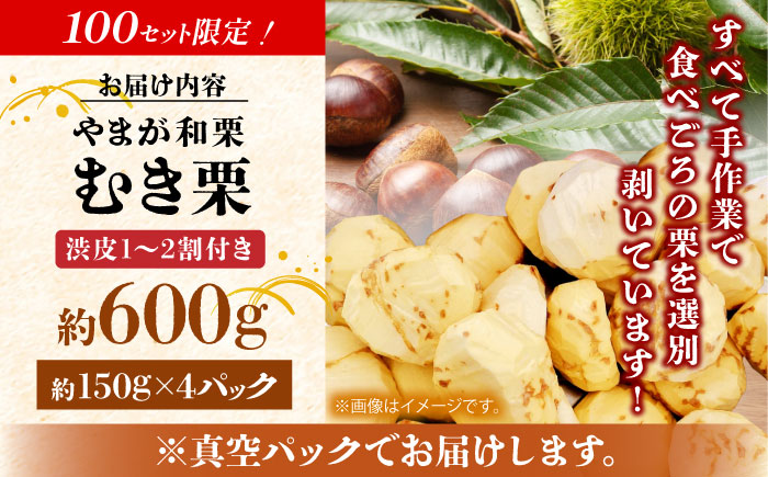 【先行予約】 【風味豊か♪ちょっと渋皮つき】やまが和栗 大粒むき栗 渋皮つき約600g（約150g×4pc）小分け【古川農園】 [ZES002]