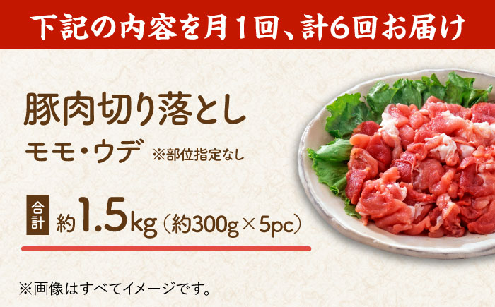 【6回定期便】豚肉切り落とし（モモ・ウデ部位指定なし）約1.5kg（約300g×5pc）【吉里精肉】 [ZEW085]
